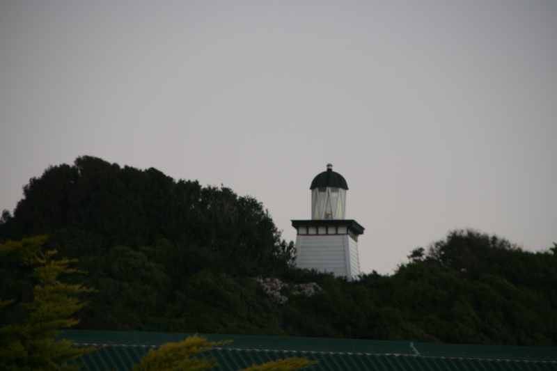 Nieuw-Zeeland 2011 - 1392